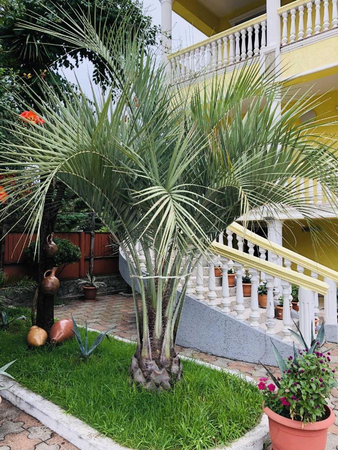 Hotel George'S House Kobuleti Exteriér fotografie